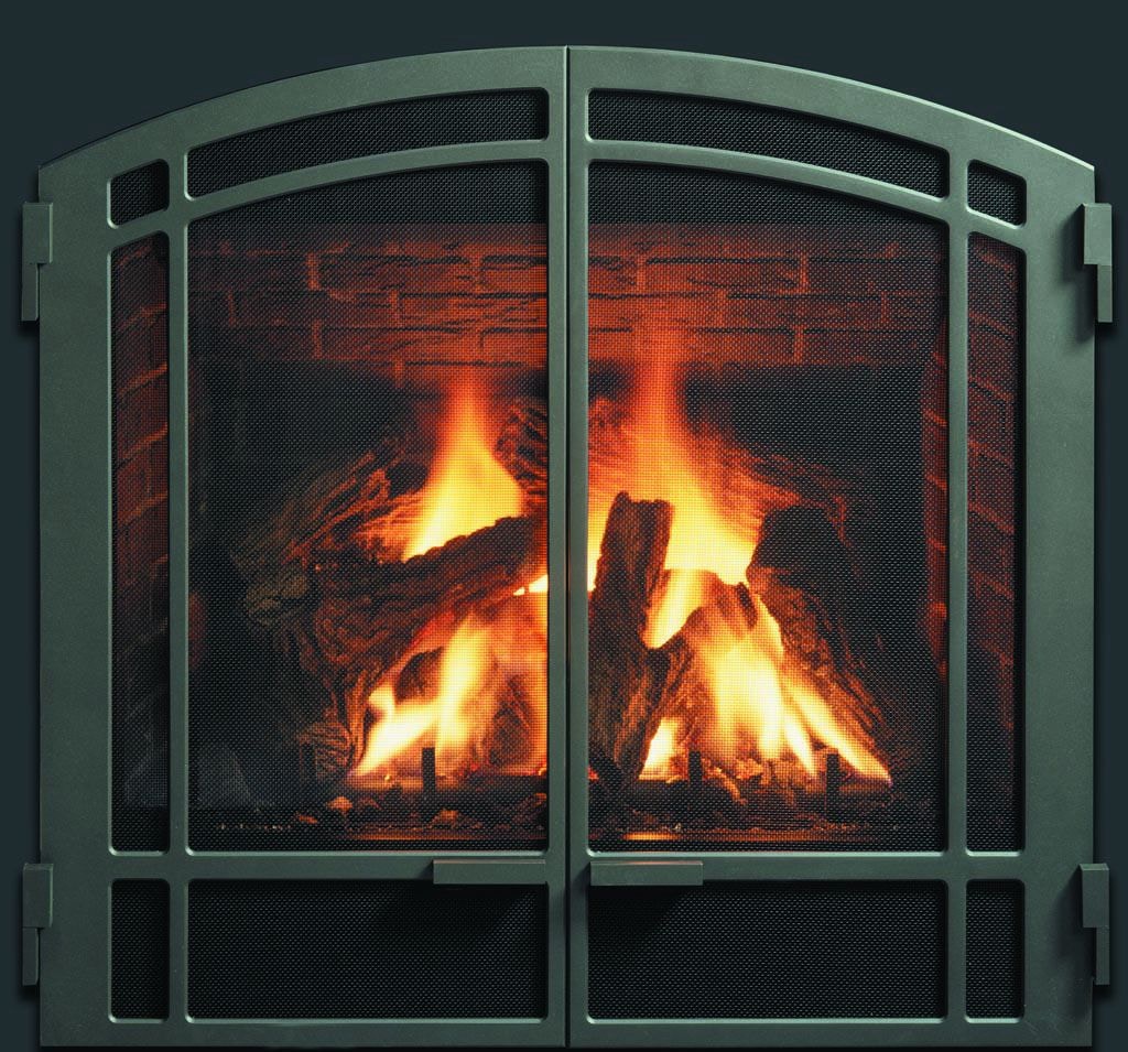 Fireplace Inserts Charlotte Nc Fireplace Insert